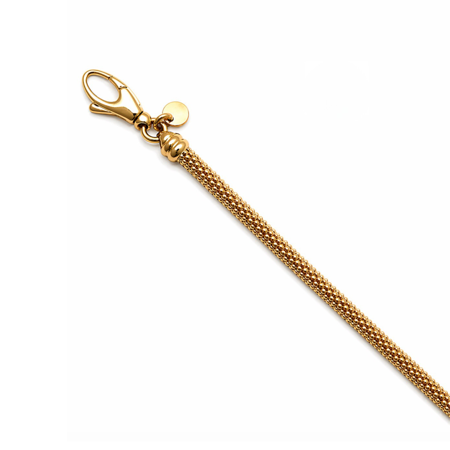Gilded Mesh Chain Necklace