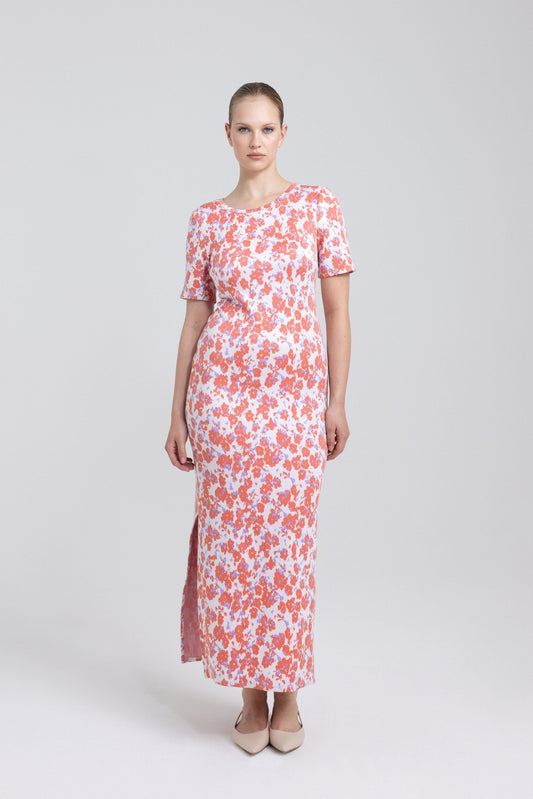 BASHA dress